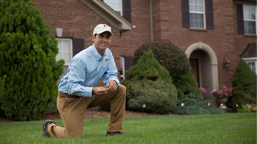Cover photo of Lawn Doctor of Denton